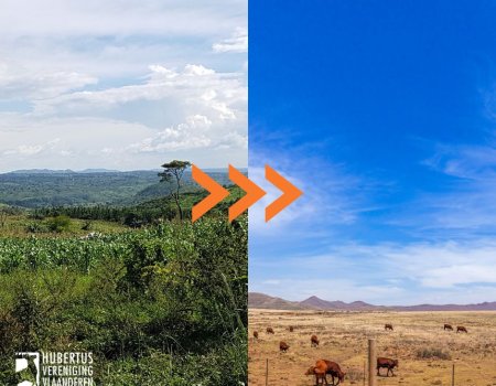 Invoerverbod op jachttrofeeën – contraproductief, nefast voor de biodiversiteit Invoerverbod op jachttrofeeën – contraproductief, nefast voor de biodiversiteit