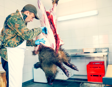 Gekwalificeerd Persoon examen 2023 Gekwalificeerd Persoon examen 2023