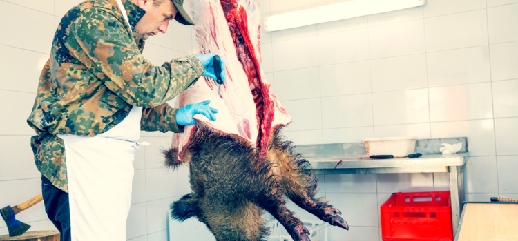 Gekwalificeerd Persoon examen 2023