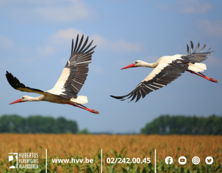 Twee maten en twee gewichten Twee maten en twee gewichten