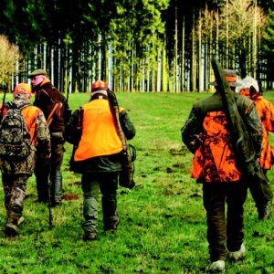 veiligheid in de jacht