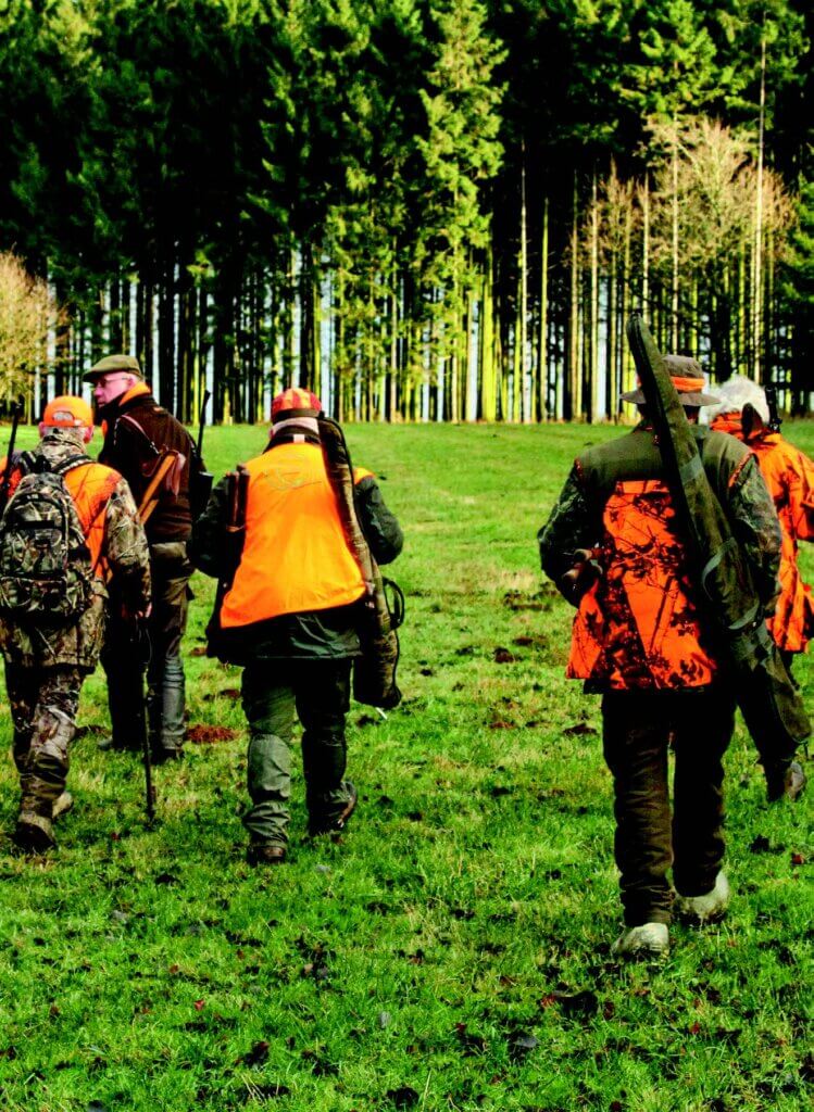 veiligheid in de jacht