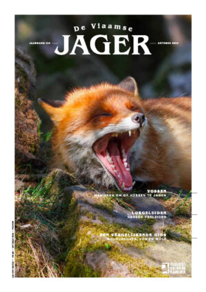 2023_08_Oktober_DVJ_cover