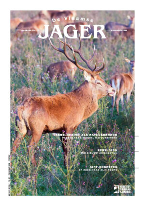 2023_09_November_DVJ_cover