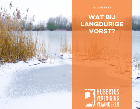 Hoe zit dat nu bij zeer harde en langdurige vorst? Hoe zit dat nu bij zeer harde en langdurige vorst?