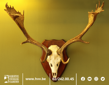 Nieuwe enquête werpt licht op Europese acceptatie van zogenaamde trofeejacht. Nieuwe enquête werpt licht op Europese acceptatie van zogenaamde trofeejacht.