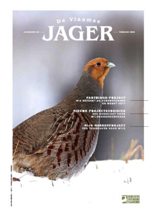 2024_01_Februari_DVJ_cover