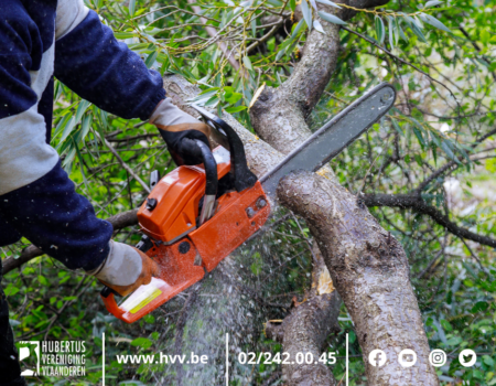 Kleine landschapselementen onder de loep Kleine landschapselementen onder de loep