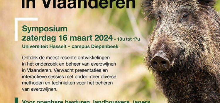 Symposium: everzwijnen in Vlaanderen