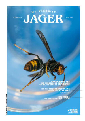 2024_03_April_DVJ_cover