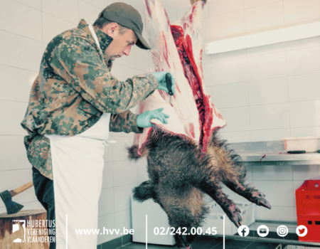 Rechtstreekse verkoop van wild aan de plaatselijke detailhandel is een feit Rechtstreekse verkoop van wild aan de plaatselijke detailhandel is een feit