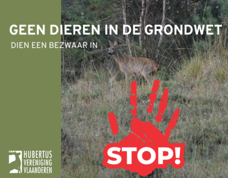 Dieren opnemen in de Grondwet? Ontoelaatbaar Dieren opnemen in de Grondwet? Ontoelaatbaar