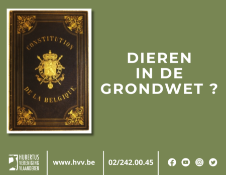 Dierenrechten in de Grondwet: een politiek steekspel Dierenrechten in de Grondwet: een politiek steekspel