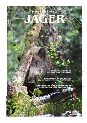 2024_05_Juni_DVJ_cover