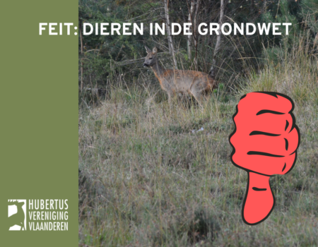 Dierenwelzijn wordt in de grondwet ingeschreven Dierenwelzijn wordt in de grondwet ingeschreven