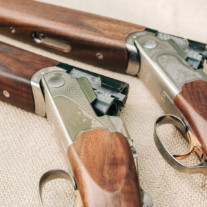 europese vuurwapenpas