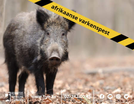 Uitbraak van Afrikaanse Varkenspest in Hessen (Duitsland) Uitbraak van Afrikaanse Varkenspest in Hessen (Duitsland)