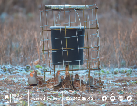 Doe mee aan een veldonderzoek naar voedertonnen voor kleinwild Doe mee aan een veldonderzoek naar voedertonnen voor kleinwild